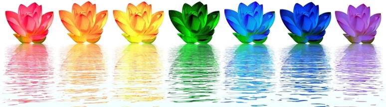 lotus, gekleurd, kleuren, aura, chakra, water